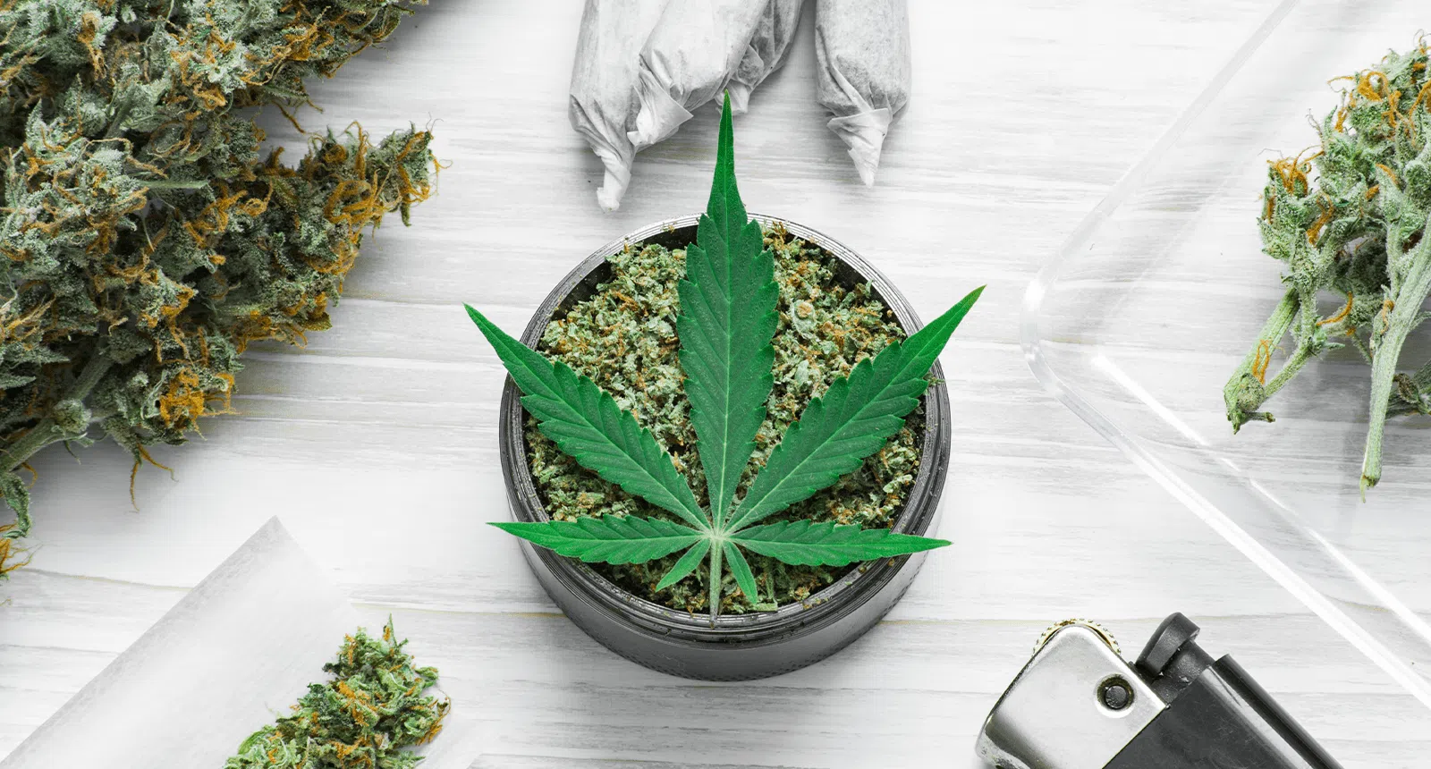 Fünf erfolgreiche Cannapreneure