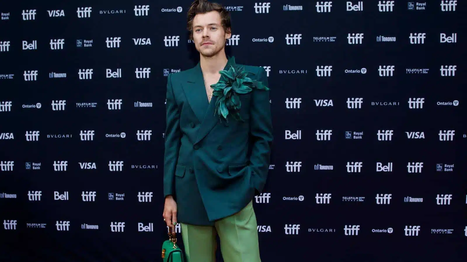 Harry Styles – singender Dandy mit einer Prise Einhornstaub