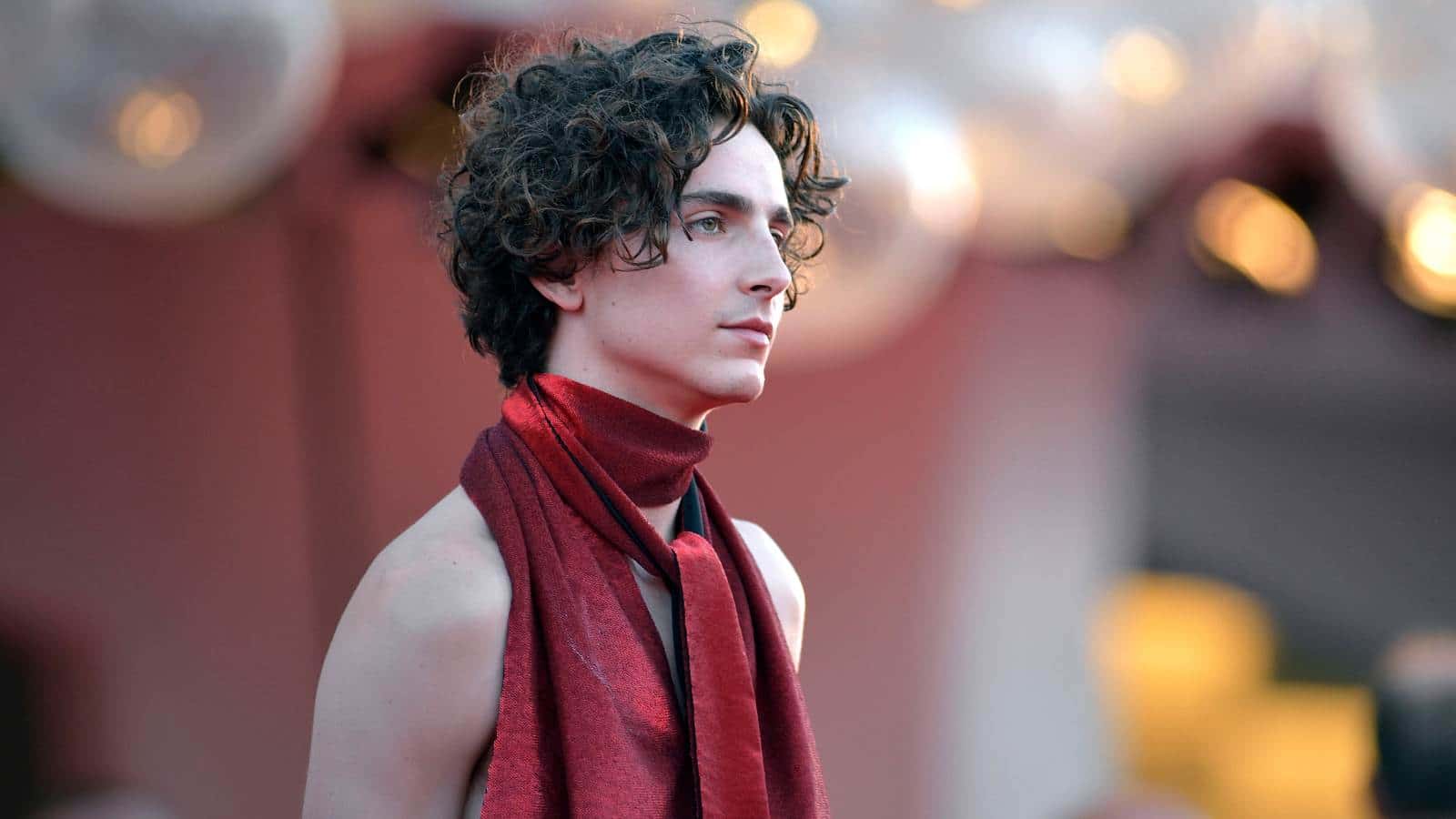 Timothée Chalamet – Ein junger Beau mit alter Seele