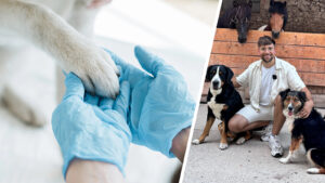 Splitbild: Tierarzt (links) mit Pfote und rechts Porträt Otto Boldt mit zwei Hunden