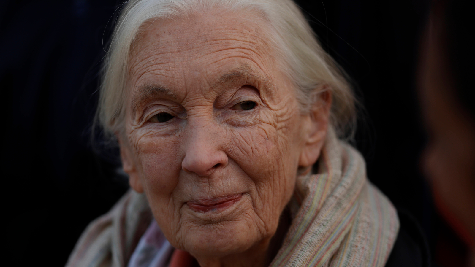 Jane Goodall