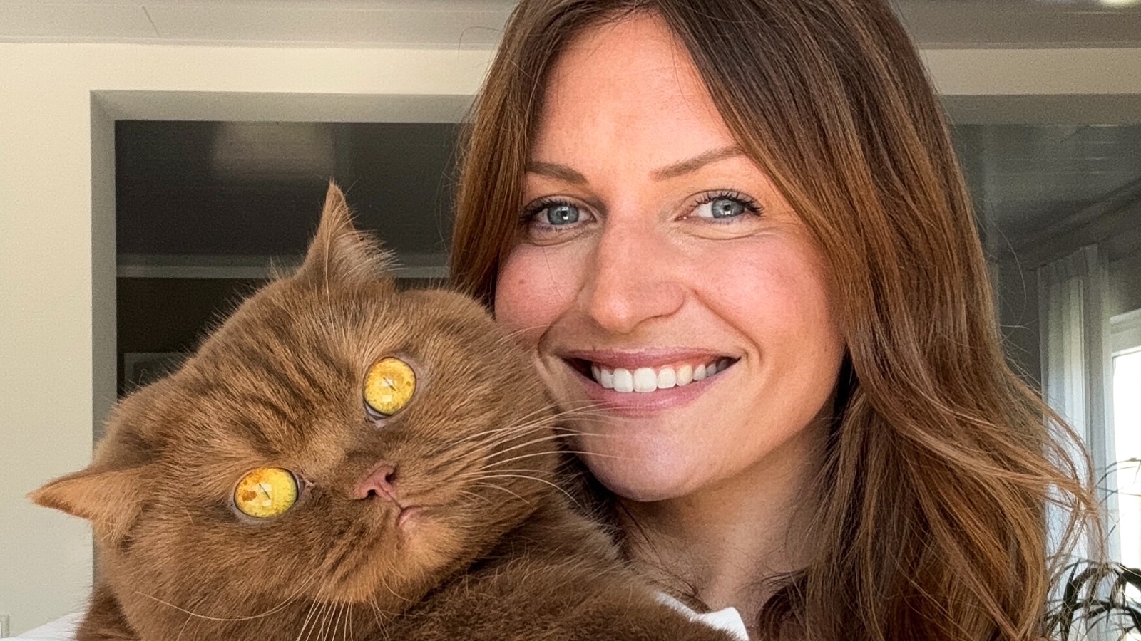 Sina Pollok: »In der ›Katzenbubble‹ kann es sehr toxisch werden«