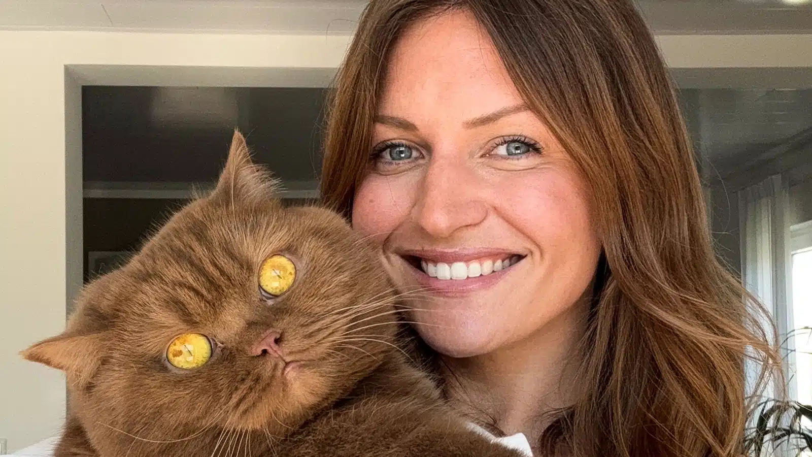 Sina Pollok: »In der ›Katzenbubble‹ kann es sehr toxisch werden«