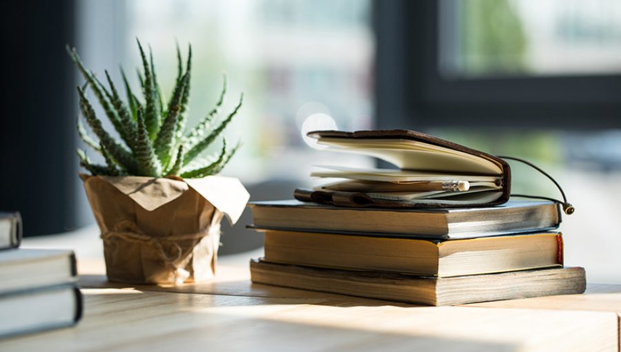Close-up view of books, notebook with pencil and potted plant on
