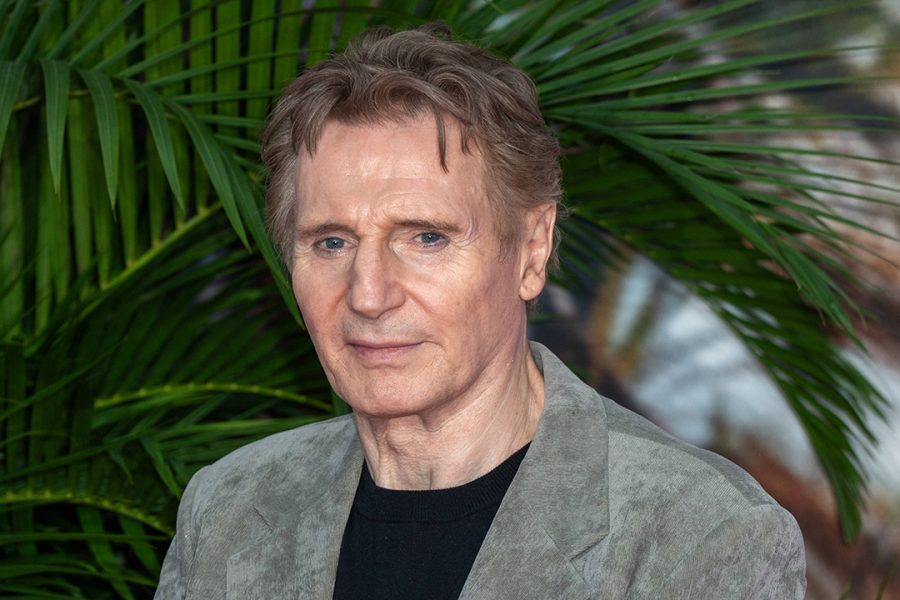 Liam Neeson ist »nebenbei« philantropischer Investor